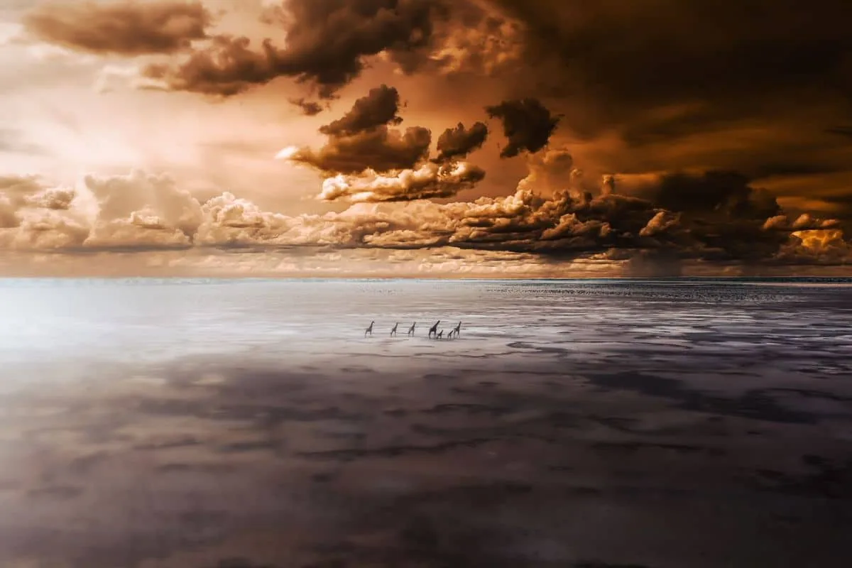 Namibia rain clouds with Giraffes