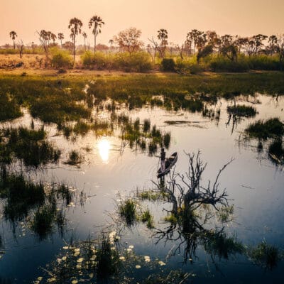 Okovango delta with palmtrees late afternoon