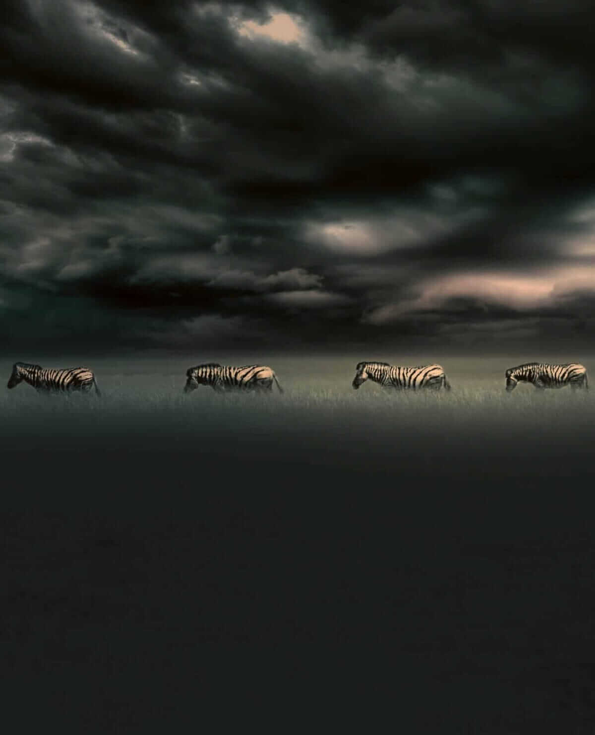 Places to Visit on Your Namibia Self Drive Safari