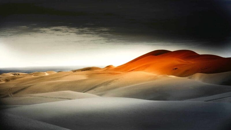 Skeleton coast dunes