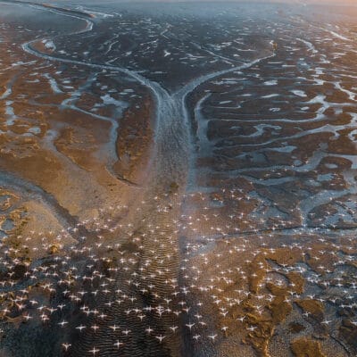 Okovango delta with flamingos