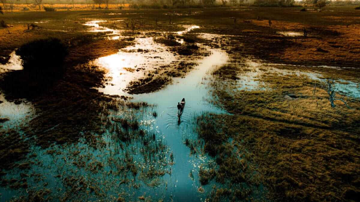 Wings Over Okavango A Two Night Skyborne Safari to Remember