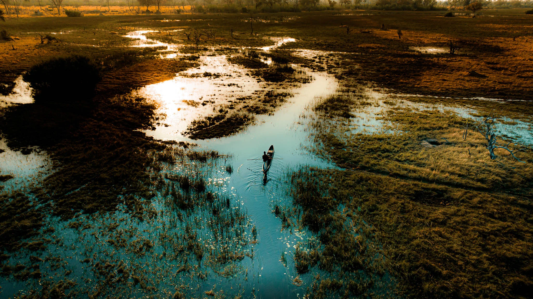 Canoe in okovango delta