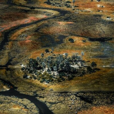 Botswana Delta