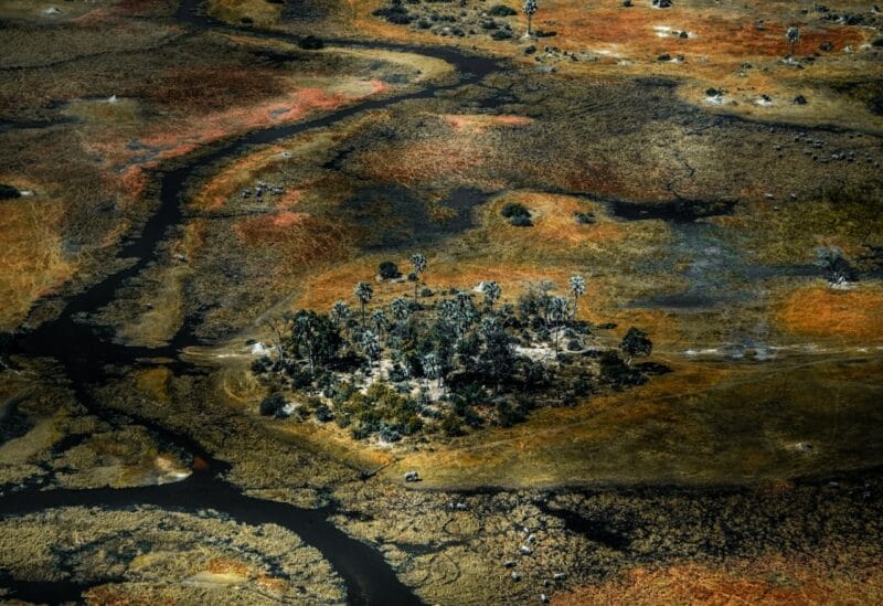 Botswana Delta