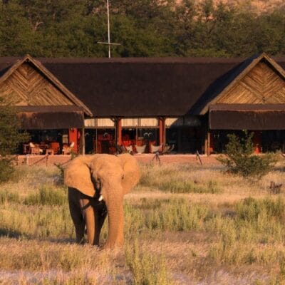 Hobatere lodge elephant