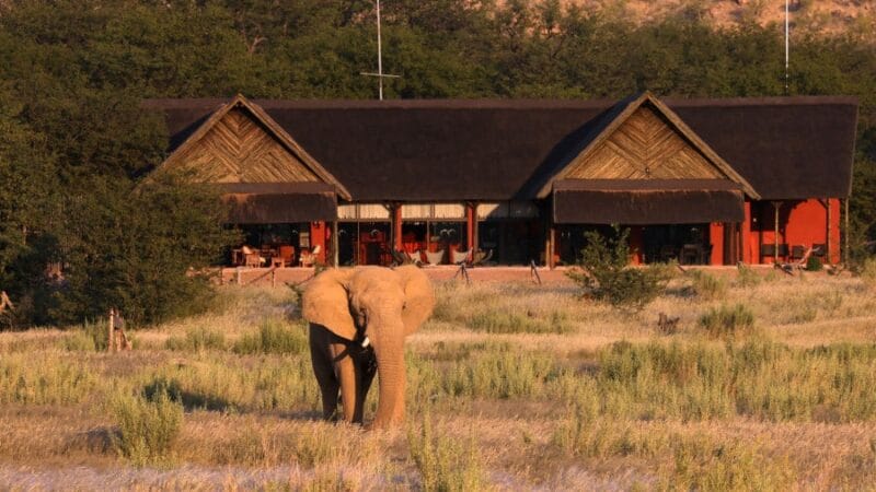 Hobatere lodge elephant