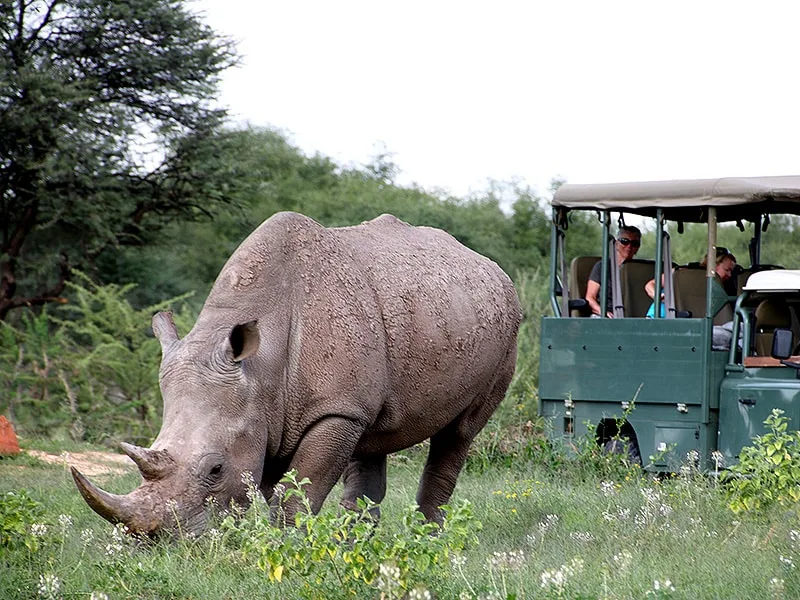 Waterberg wilderness plateau