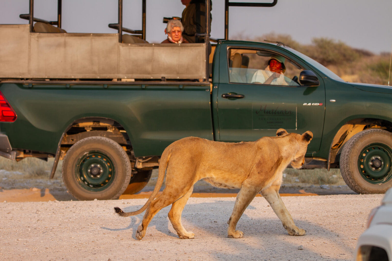 Etosha National Park