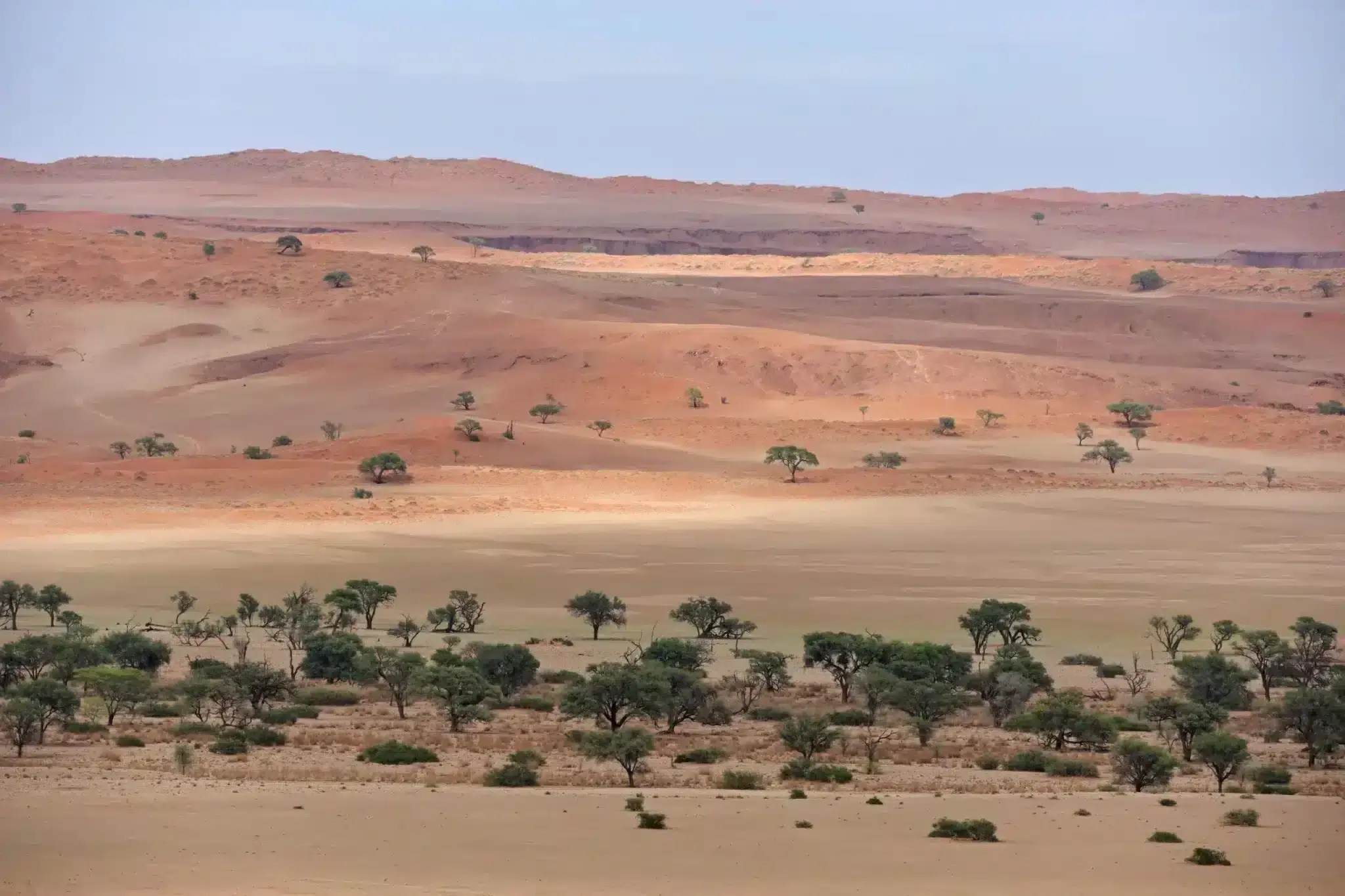 gondwana namib desert nature park