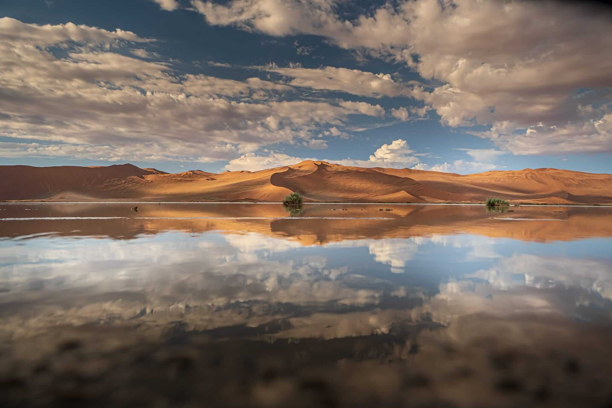 Water standing in the pan at Sossusvlei after summer rain, Namibia