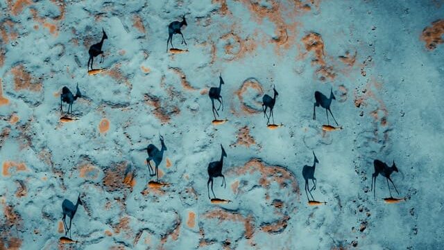 Botswana from the air