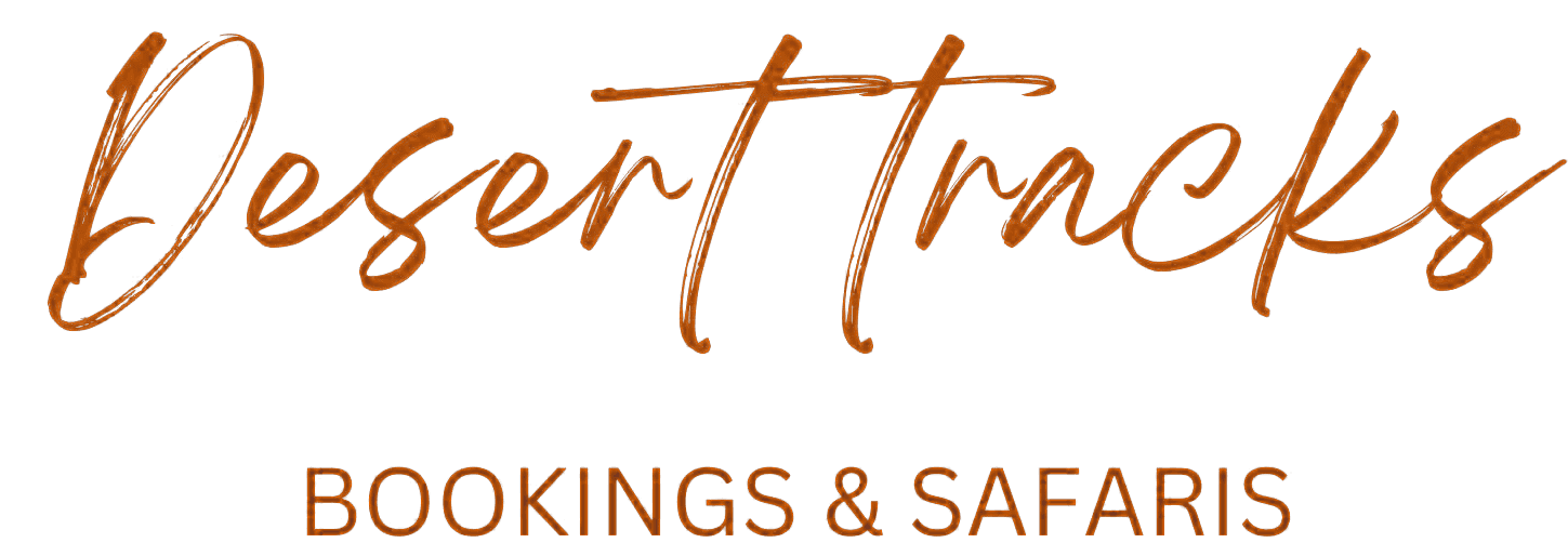 Namibia fly-in safaris