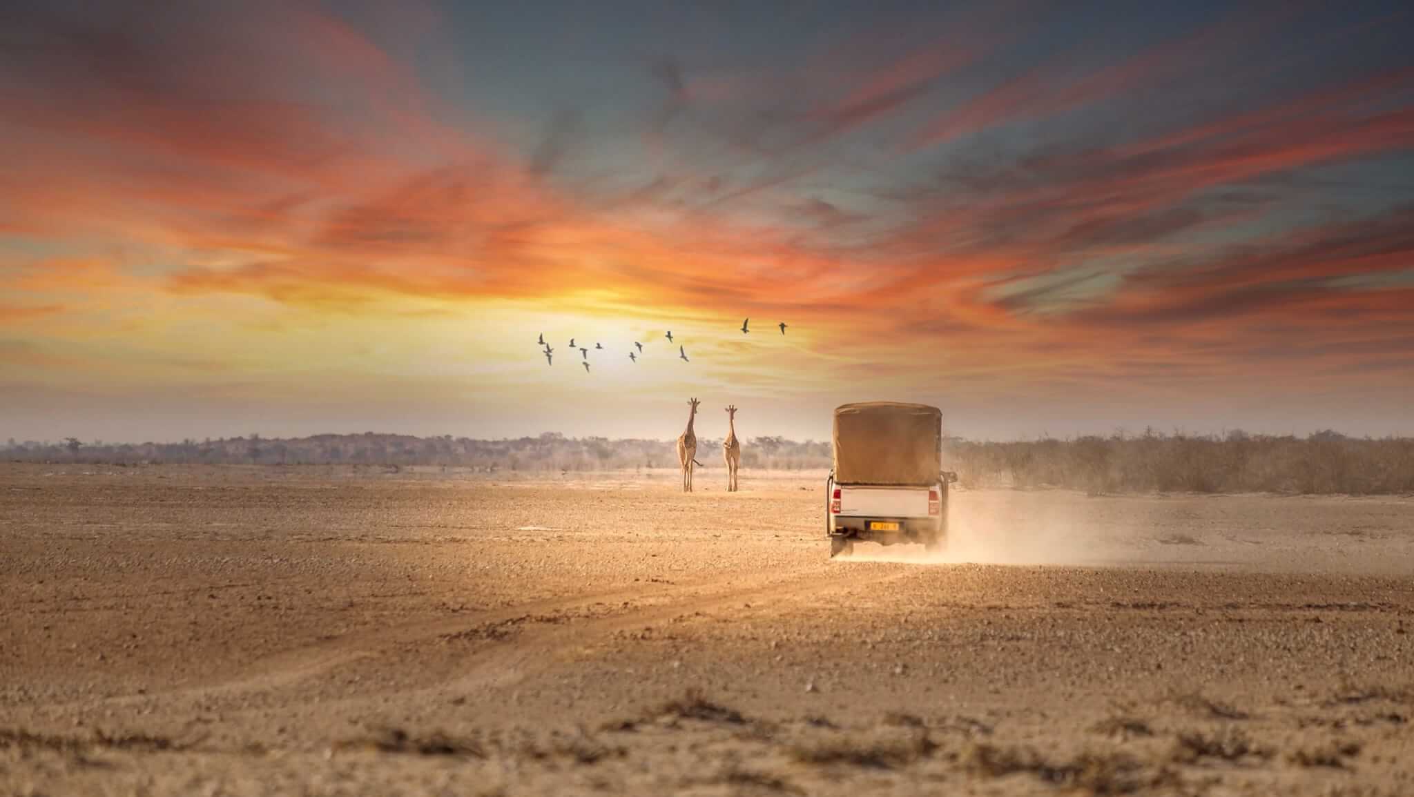 Safari vehicle on a track in a Namibian conservancy