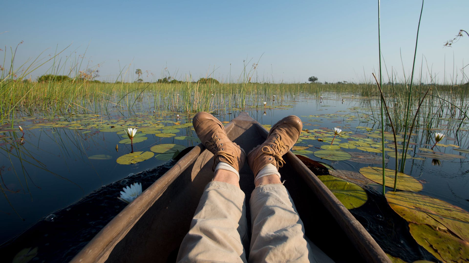 Mokoro poling through reed channels in Moremi Game Reserve, Botswana