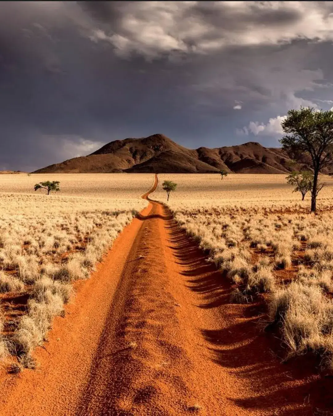 namibrandnaturereserve 193kb