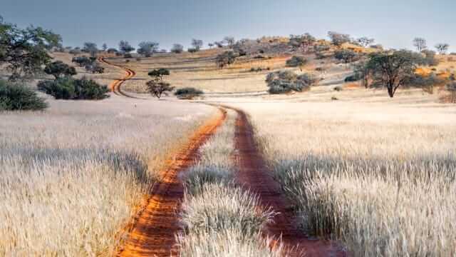 A dusty gravel road on a Namibia self-drive safari route