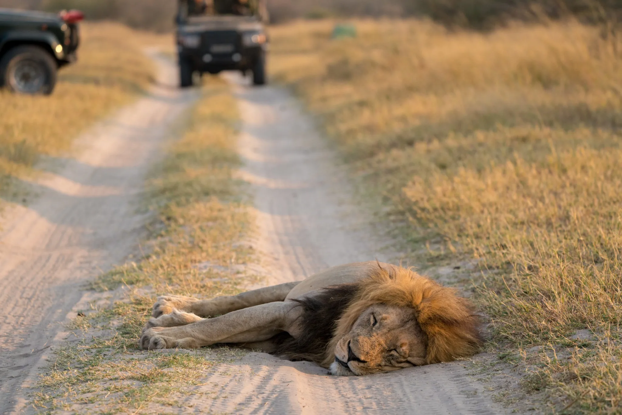 14-Day Luxury Namibia Drive   Fly Photographic Safari