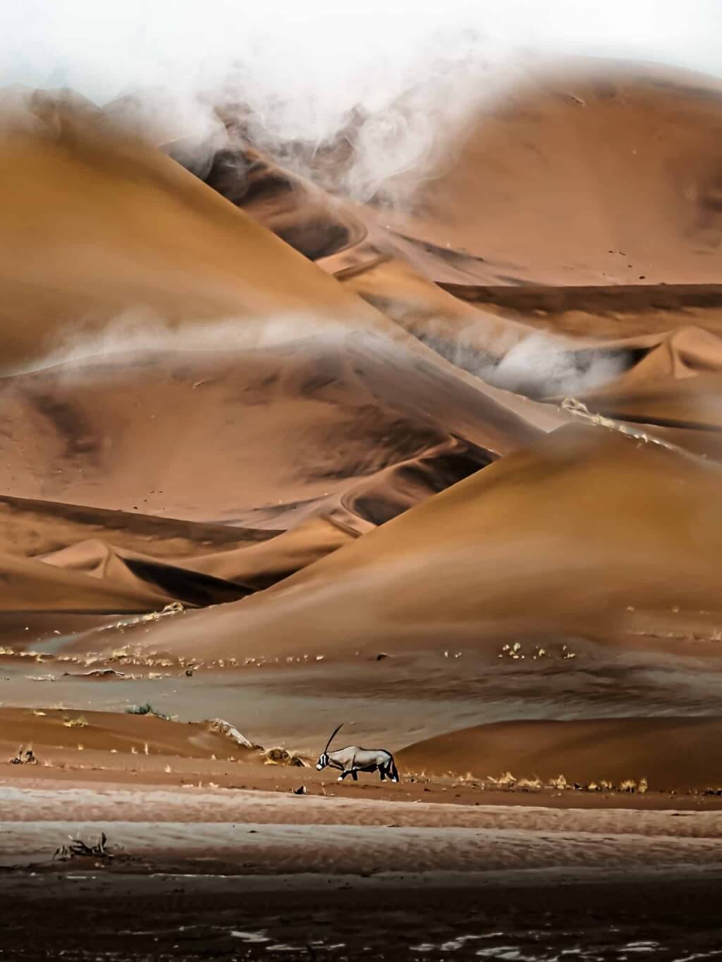 Namibia Guided Safaris