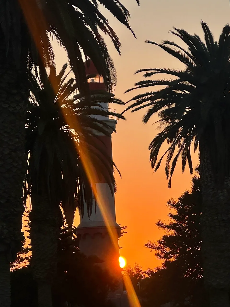 swakop lighthouse sunset viola large