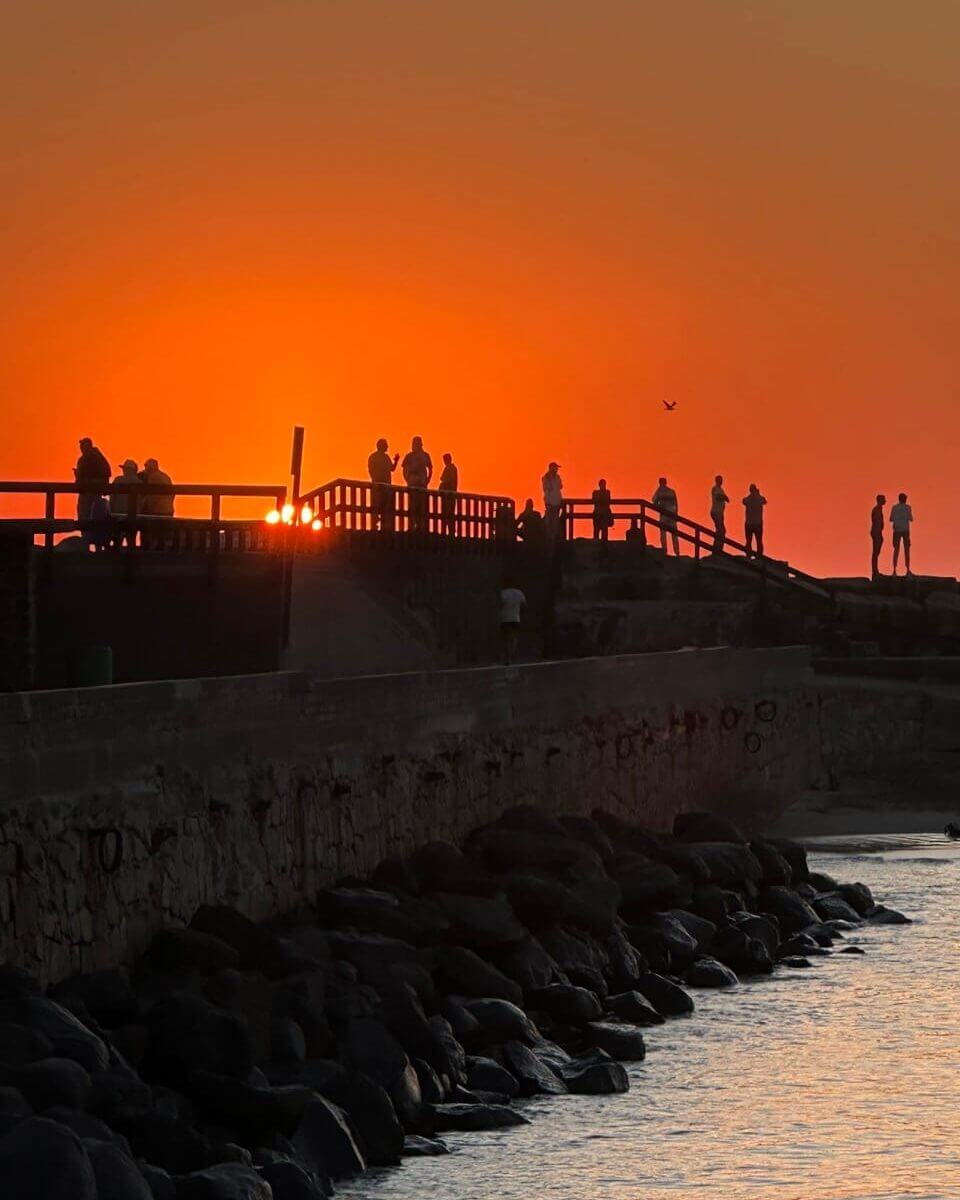 swakopmund sunset viola large