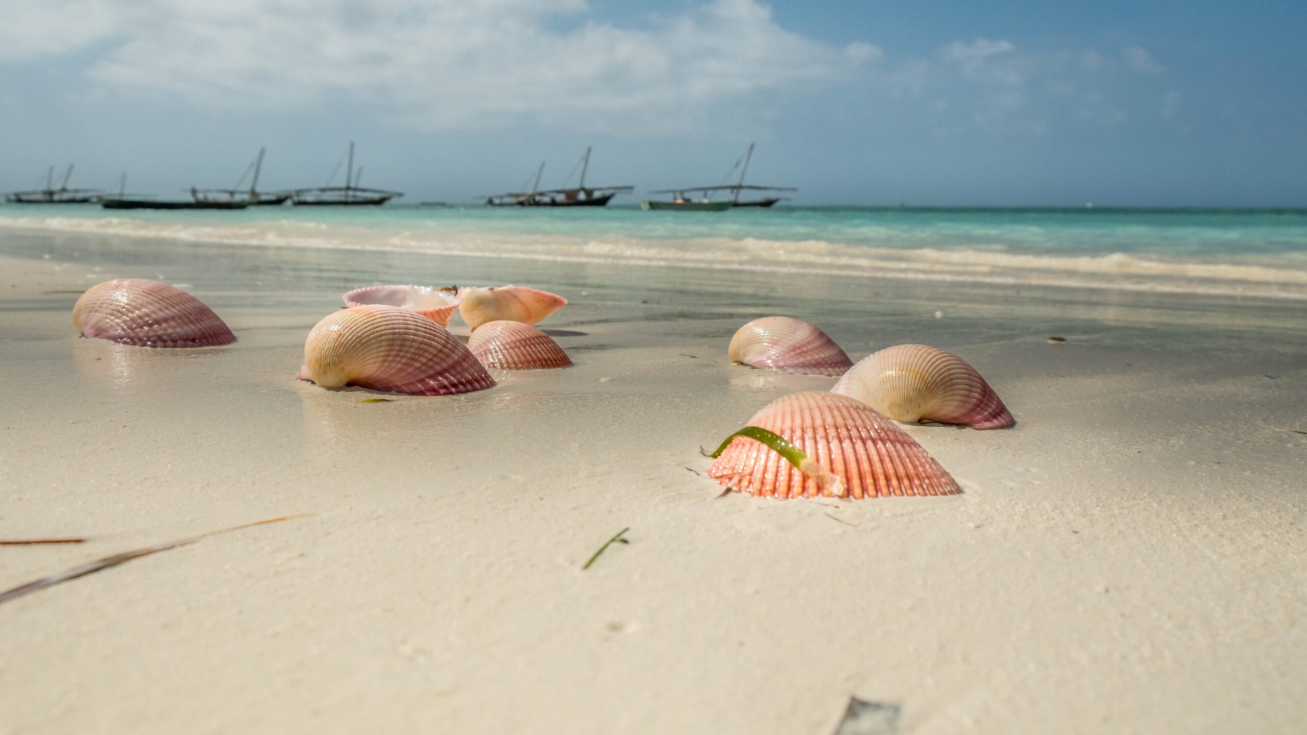 Zanzibar