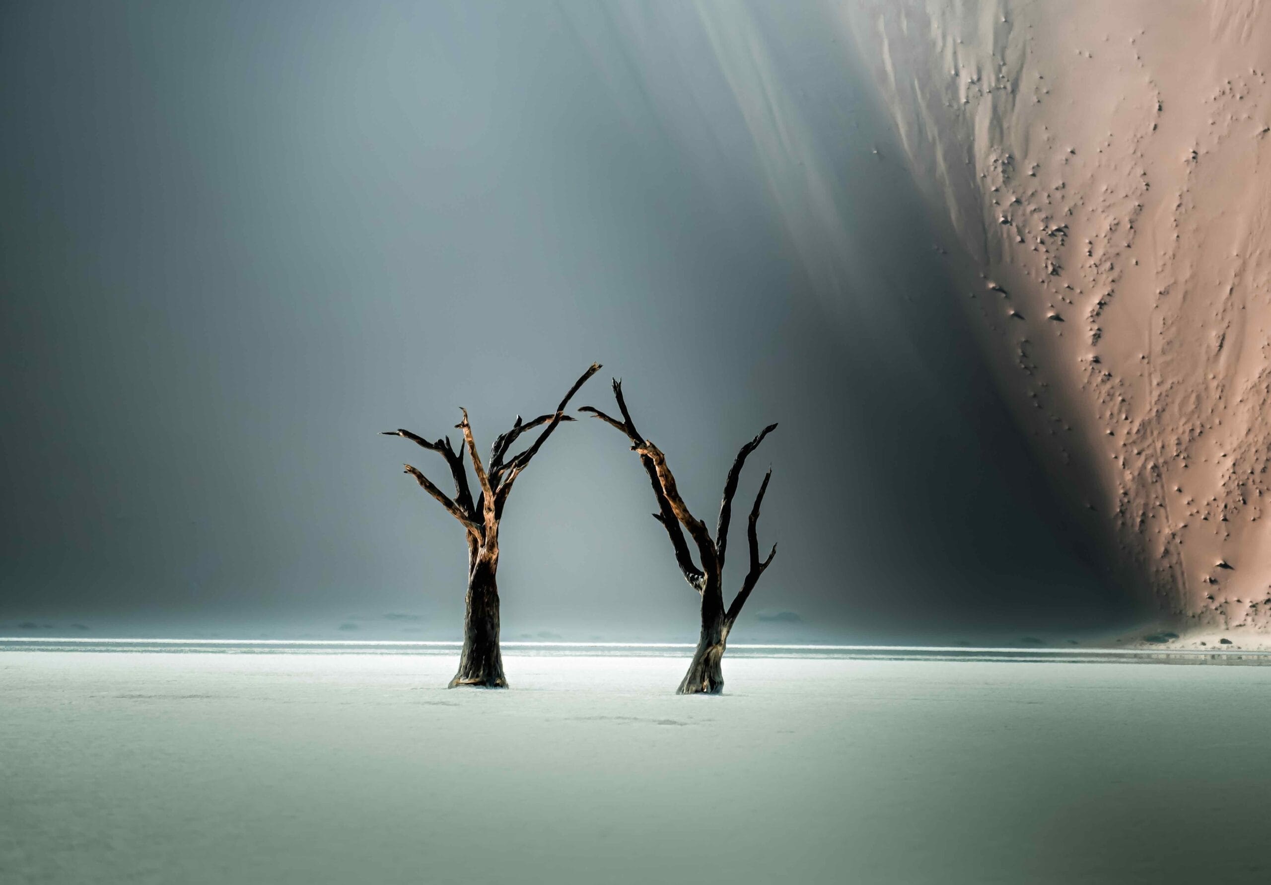 11-Day Wildlife of Namibia Self-Drive Safari