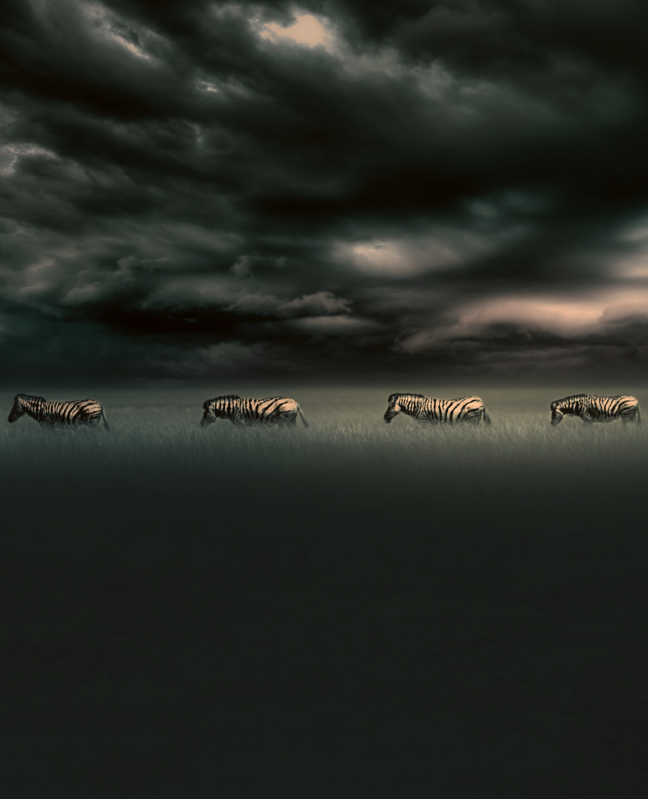 Namibia Scenic Photography