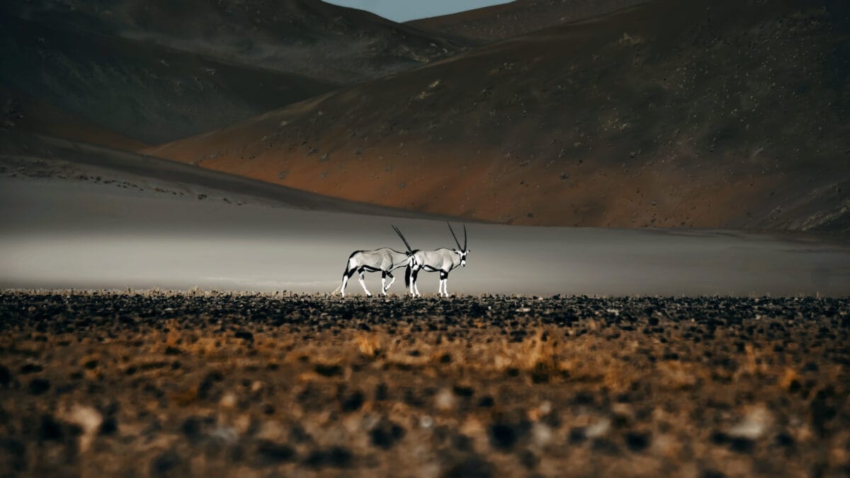 How Many Days Do You Need in Namibia?