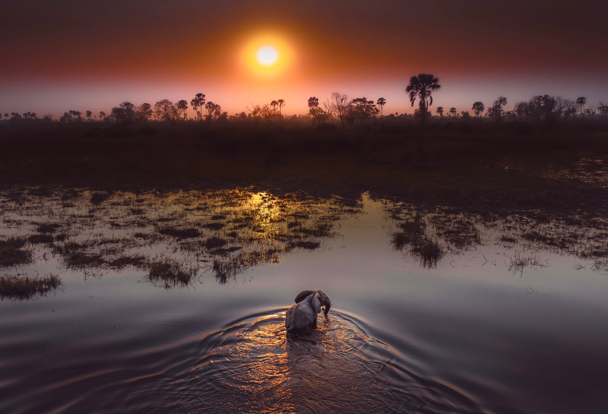 Lodge and Camping Safaris