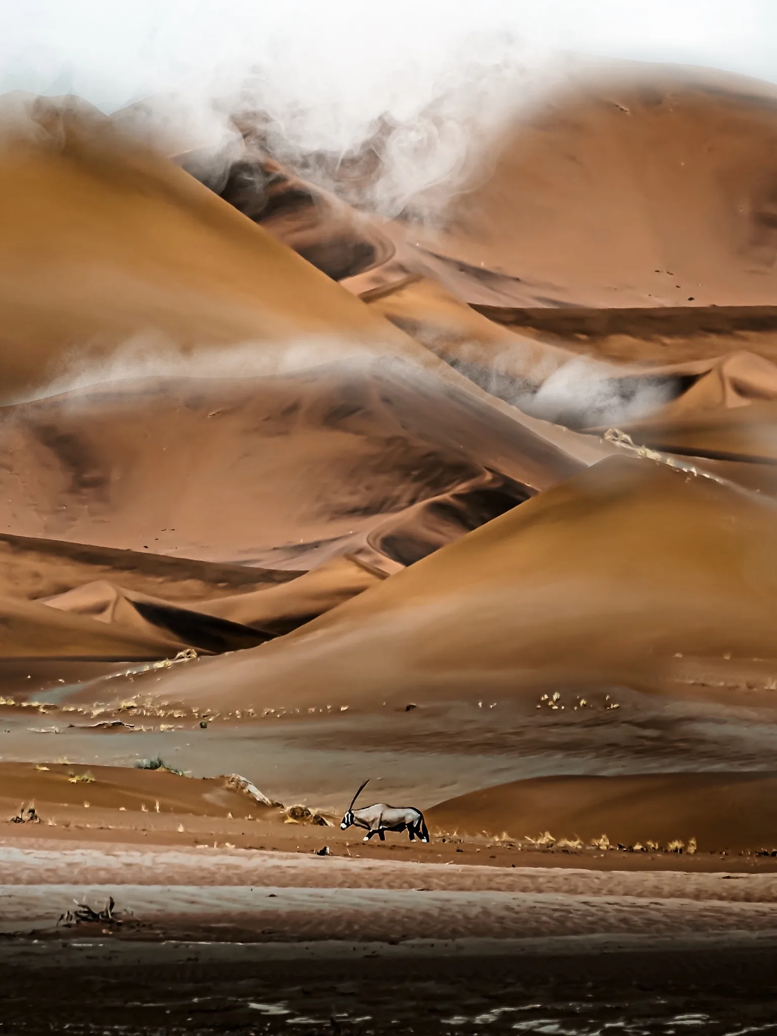 dunes orxy namibia