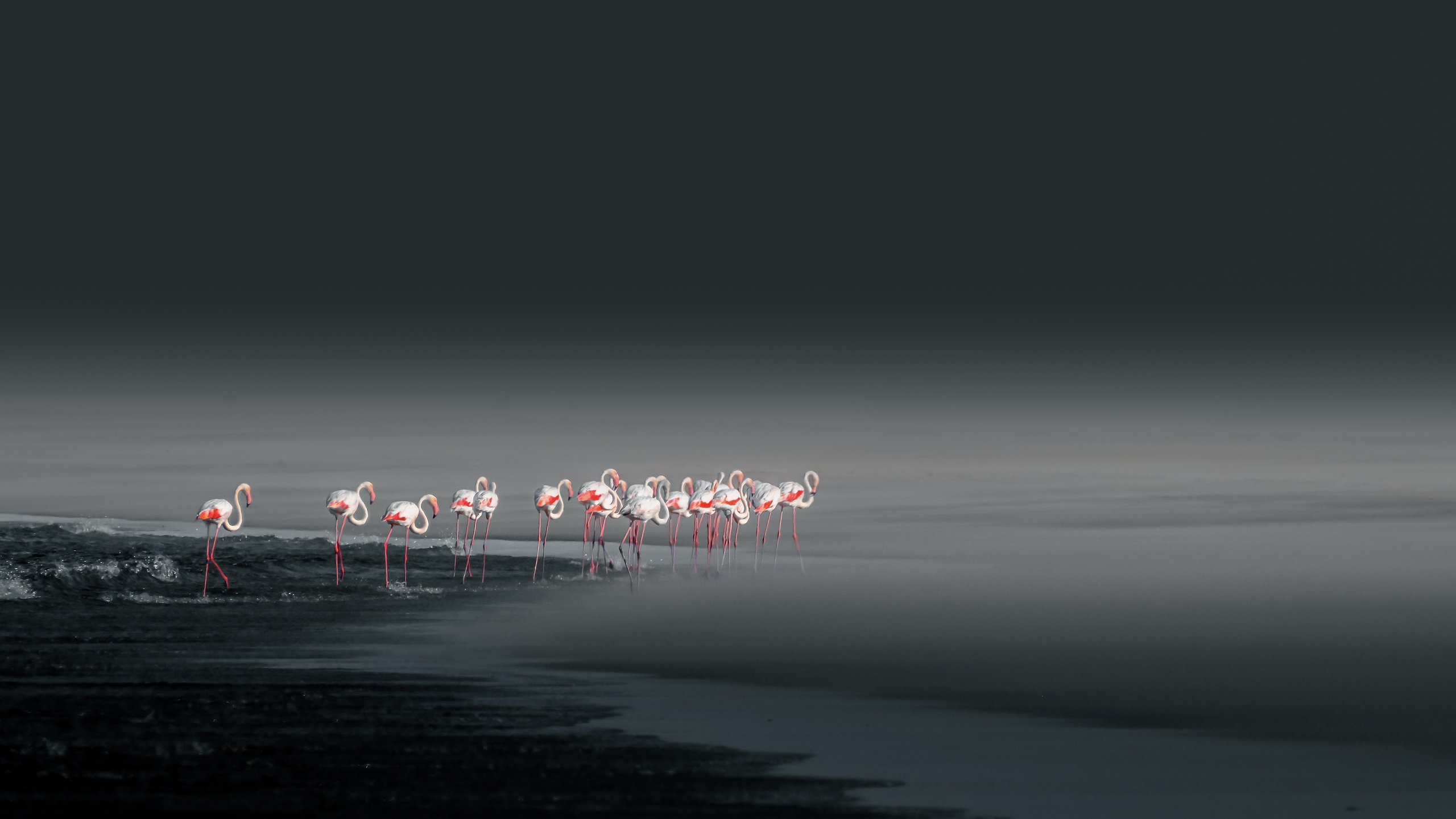 Namibia Wildlife Experience