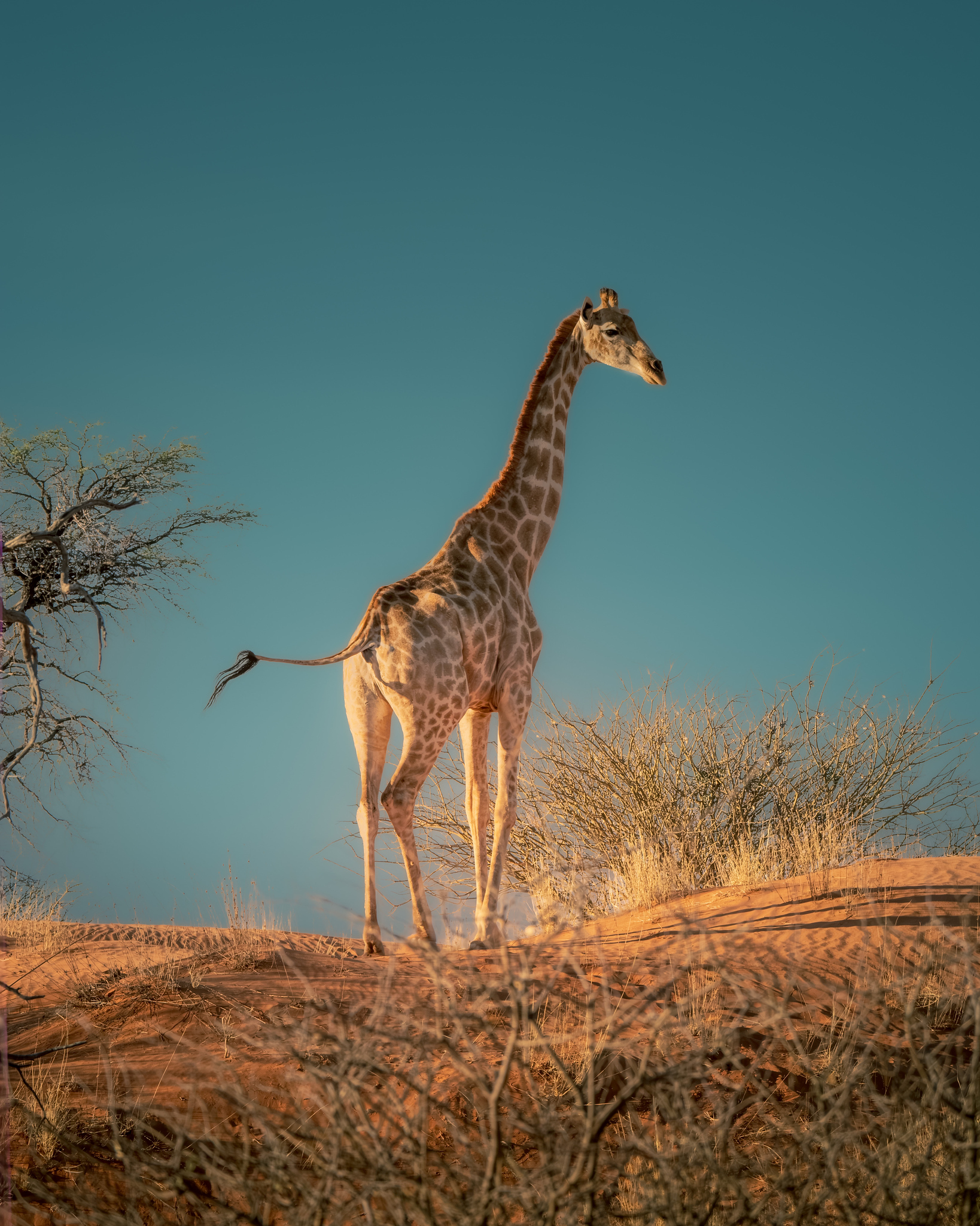 Namibia Scenic Photography