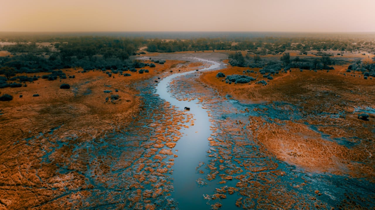Aerial view of the channels and islands of the Okavango Delta, Botswana