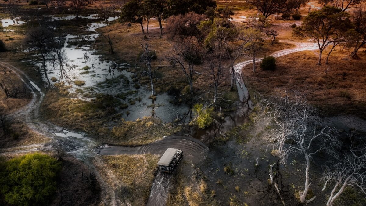 Botswana Safari: Where to Go, When, and What It Costs