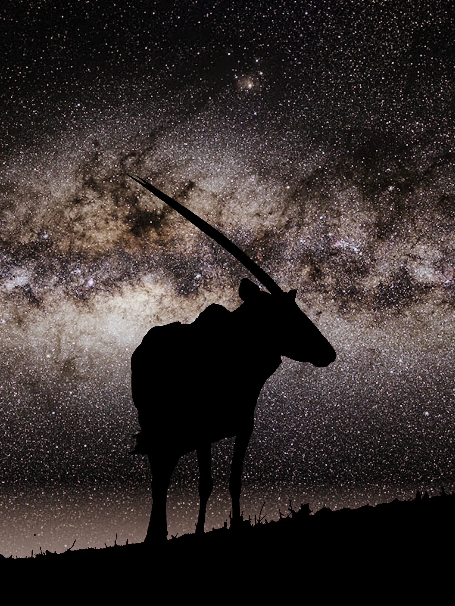 oryx nightsky