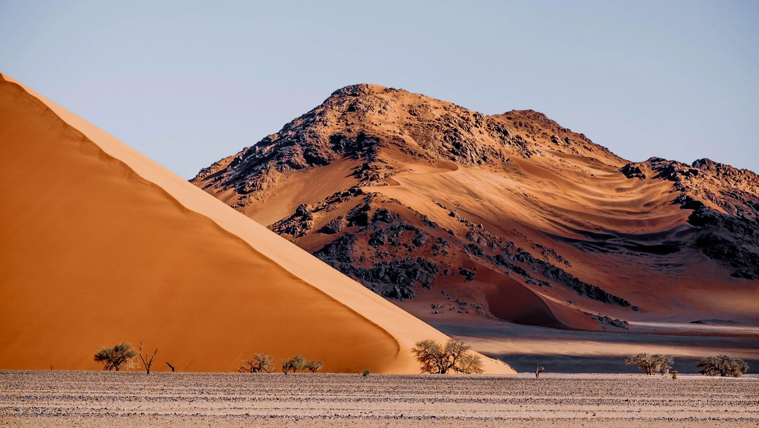 Namib Desert dunes at dusk beneath a clear darkening sky