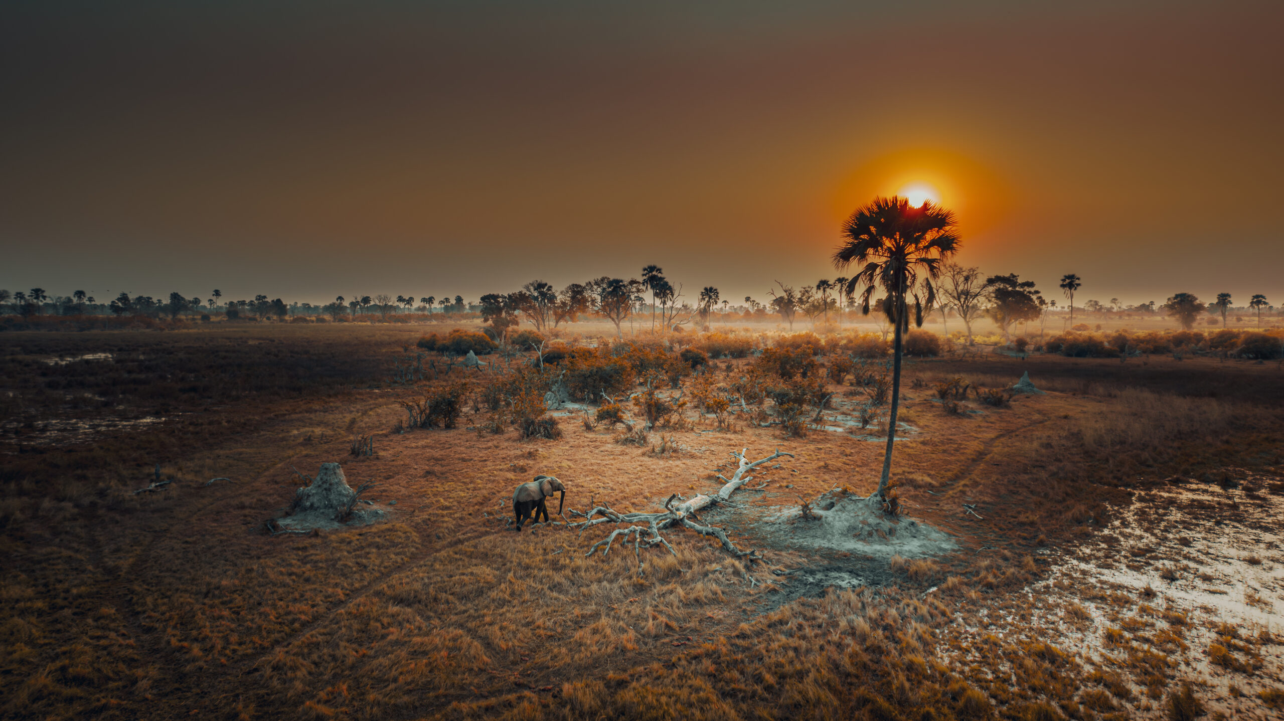 Drink Tap Water in Namibia – What Travelers Need to Know Image 1