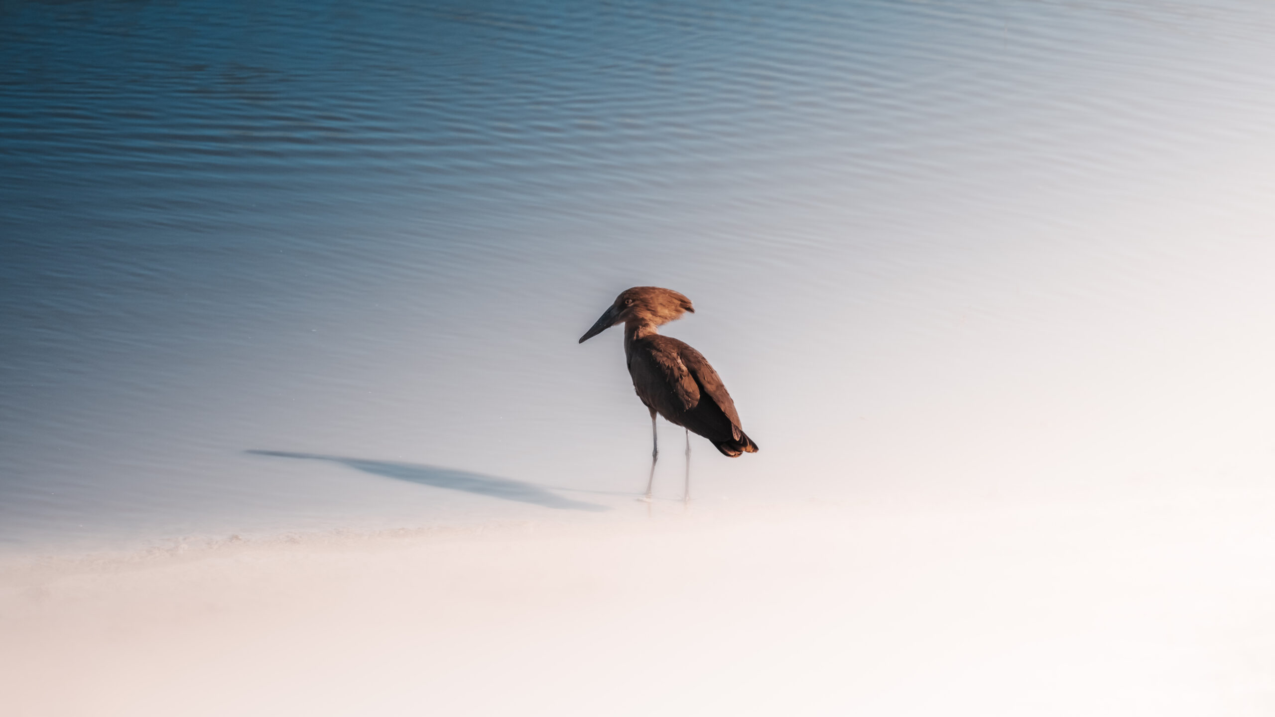 Drink Tap Water in Namibia – What Travelers Need to Know Image 3