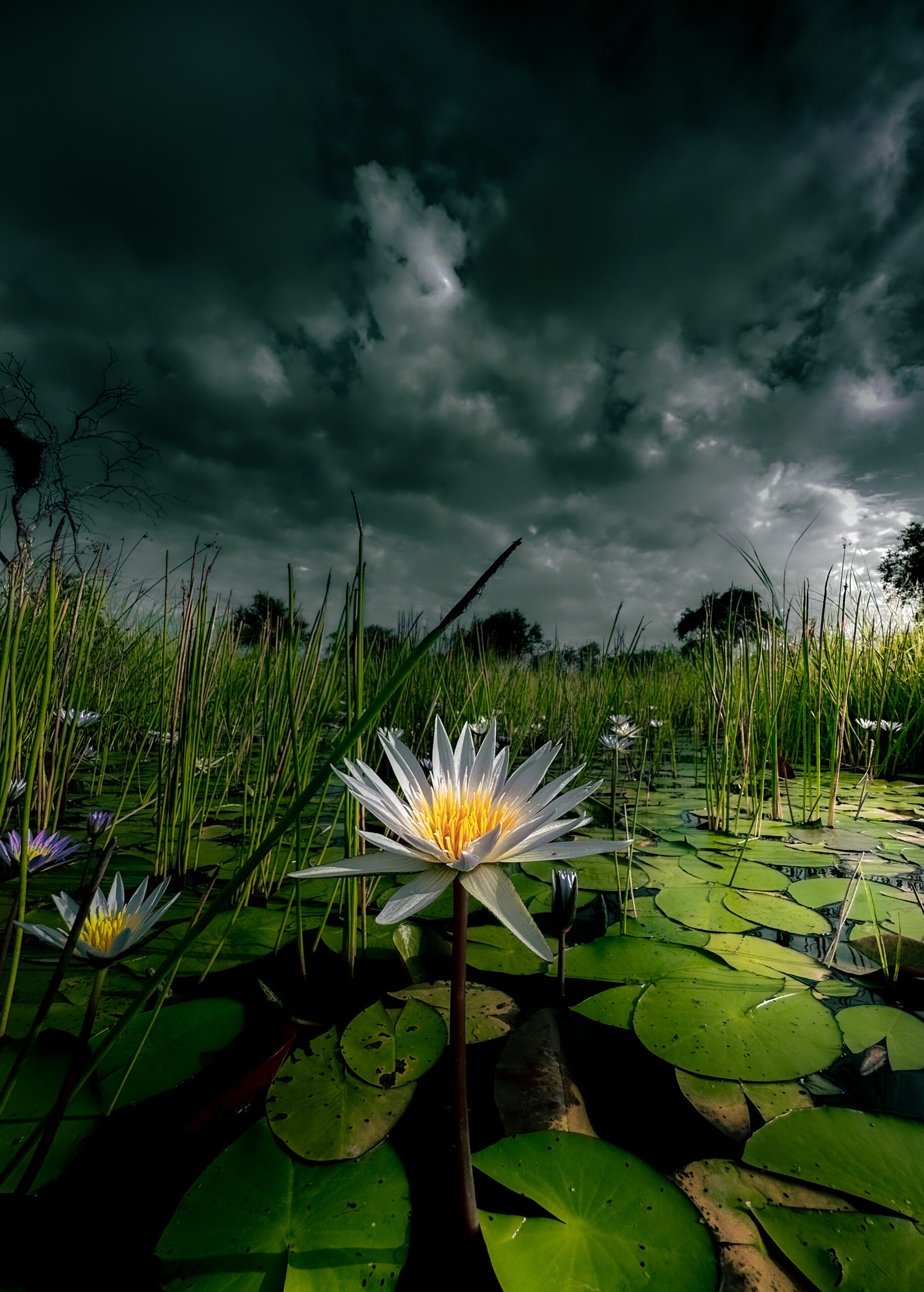 Drink Tap Water in Namibia – What Travelers Need to Know Image 4