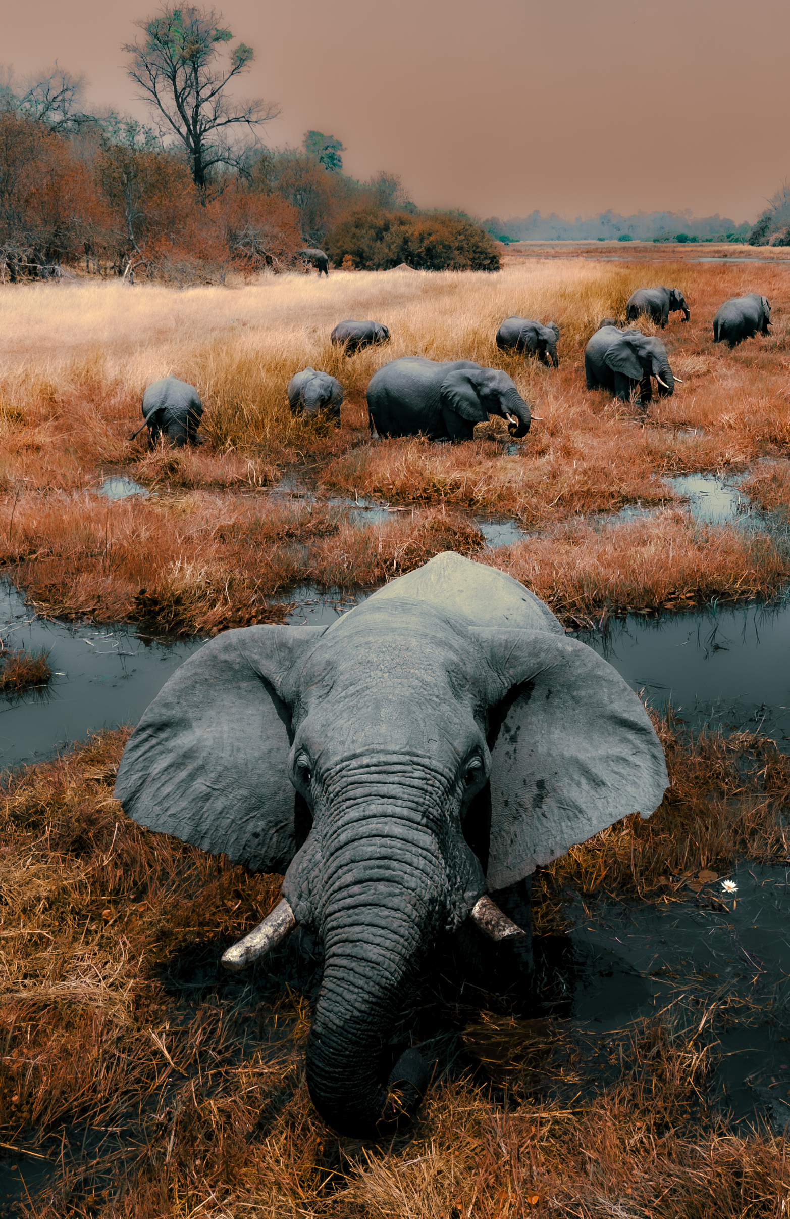 Tailor Made Namibia – Your Personalized Self‑Drive Safari Image 1