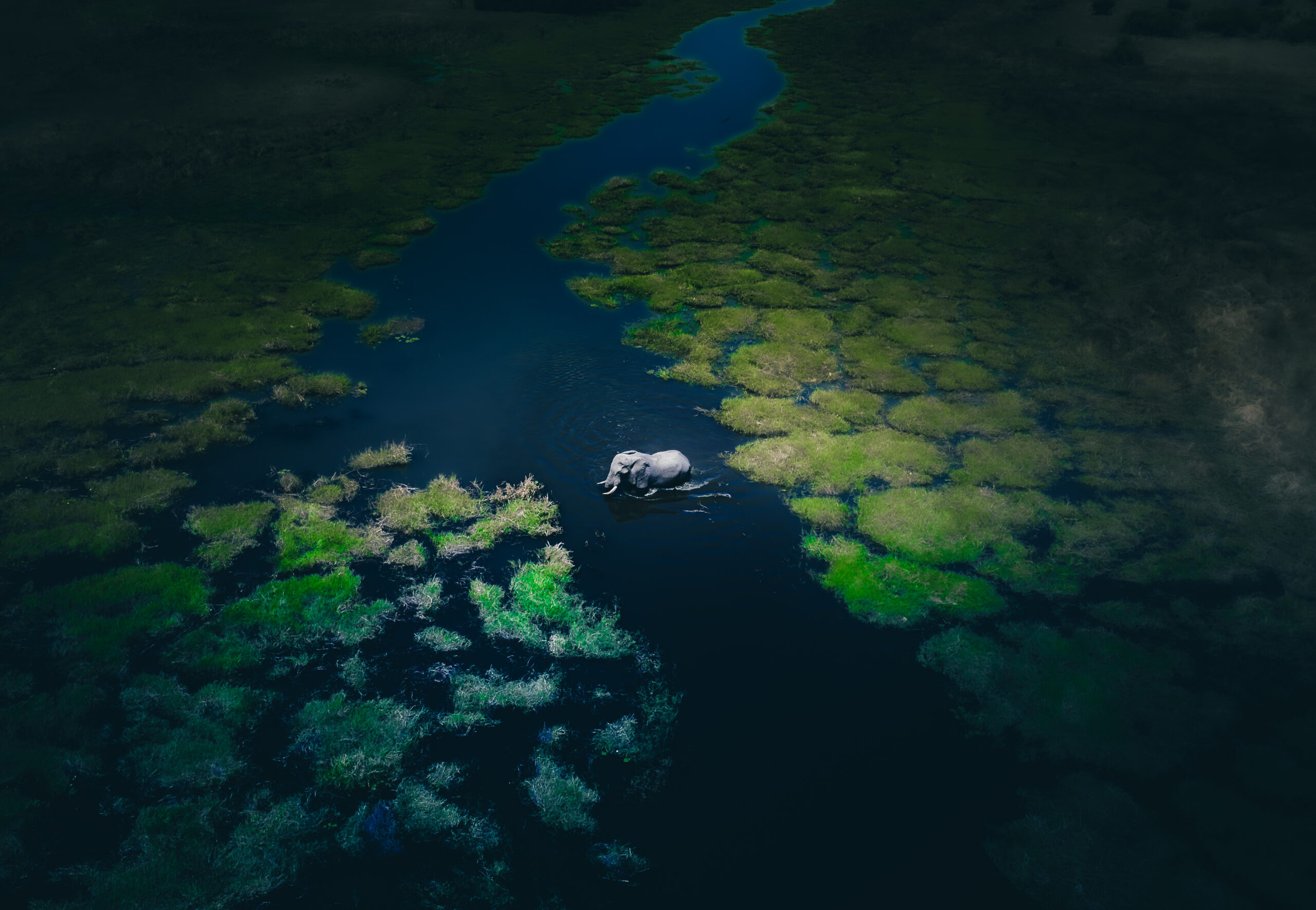 Tailor Made Namibia – Your Personalized Self‑Drive Safari Image 2