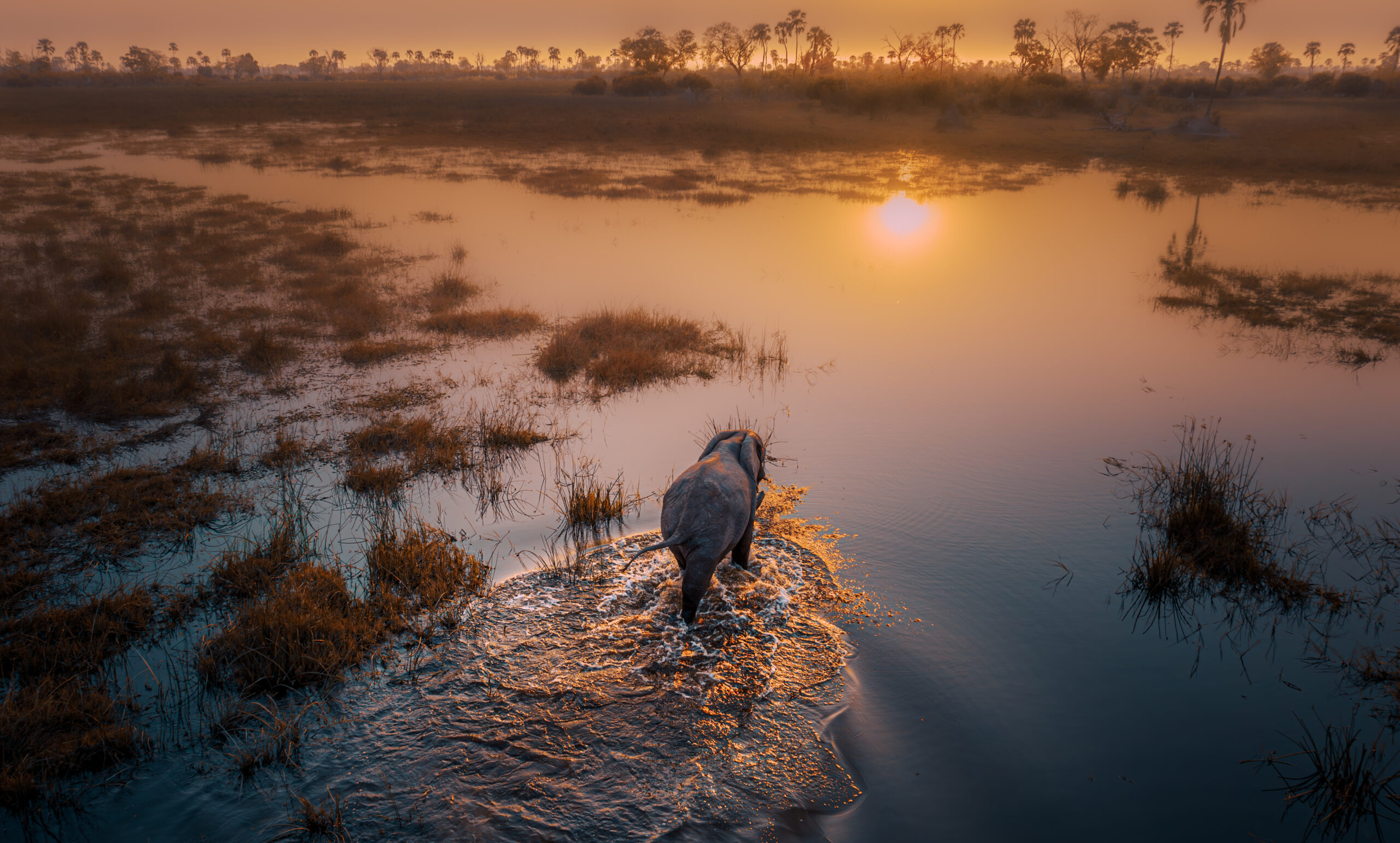 Tailor Made Namibia – Your Personalized Self‑Drive Safari Image 3