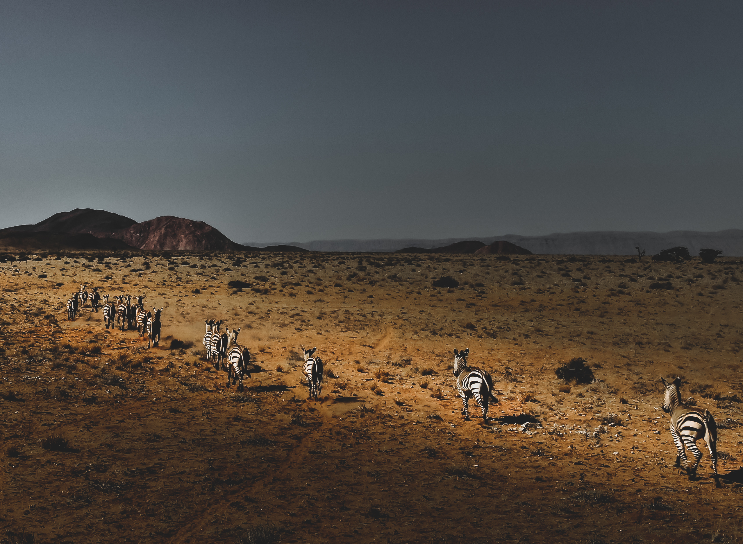 The History of Walvis Bay – A Coastal Legacy Image 4