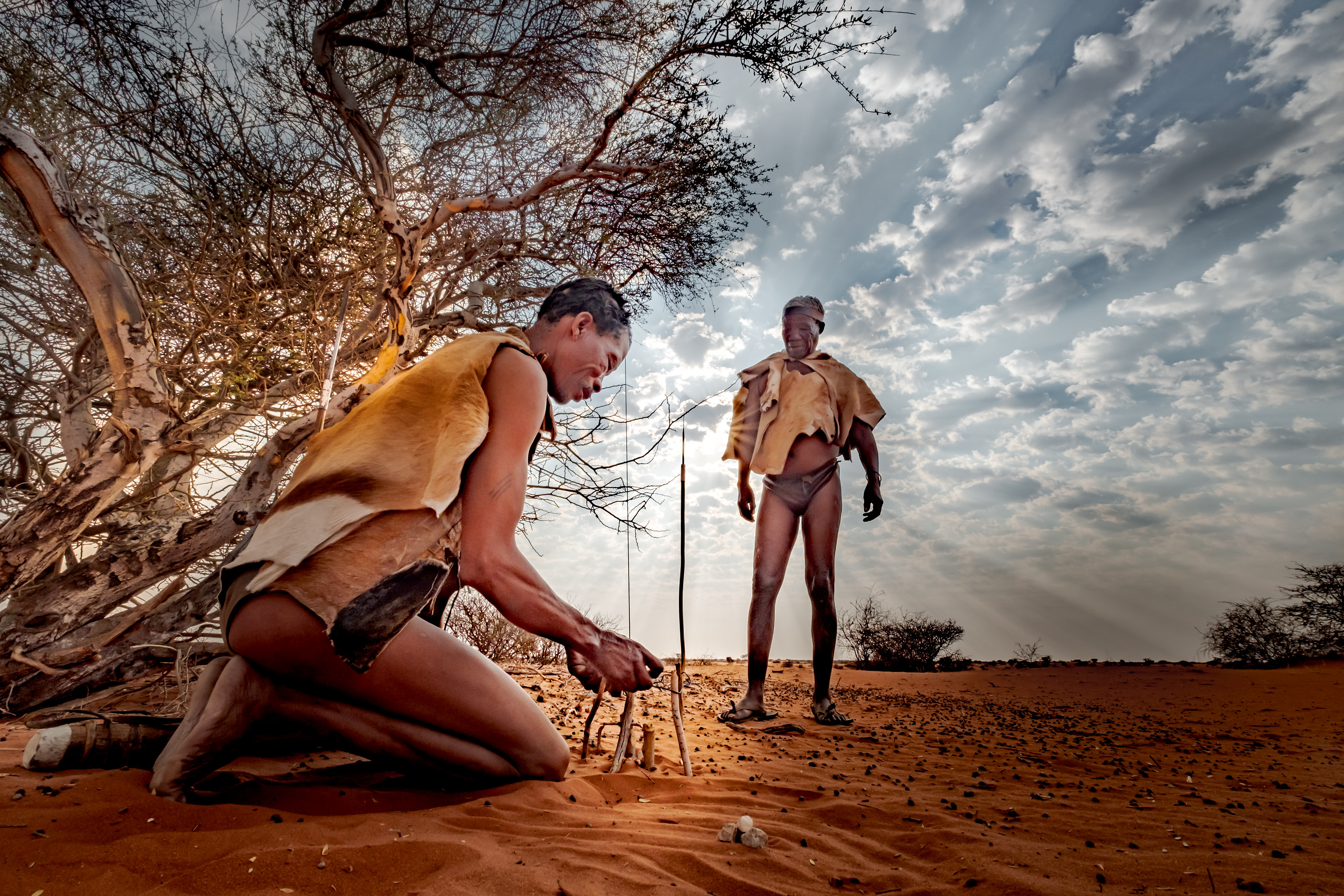 Facts About Namibian Leopards Image 4