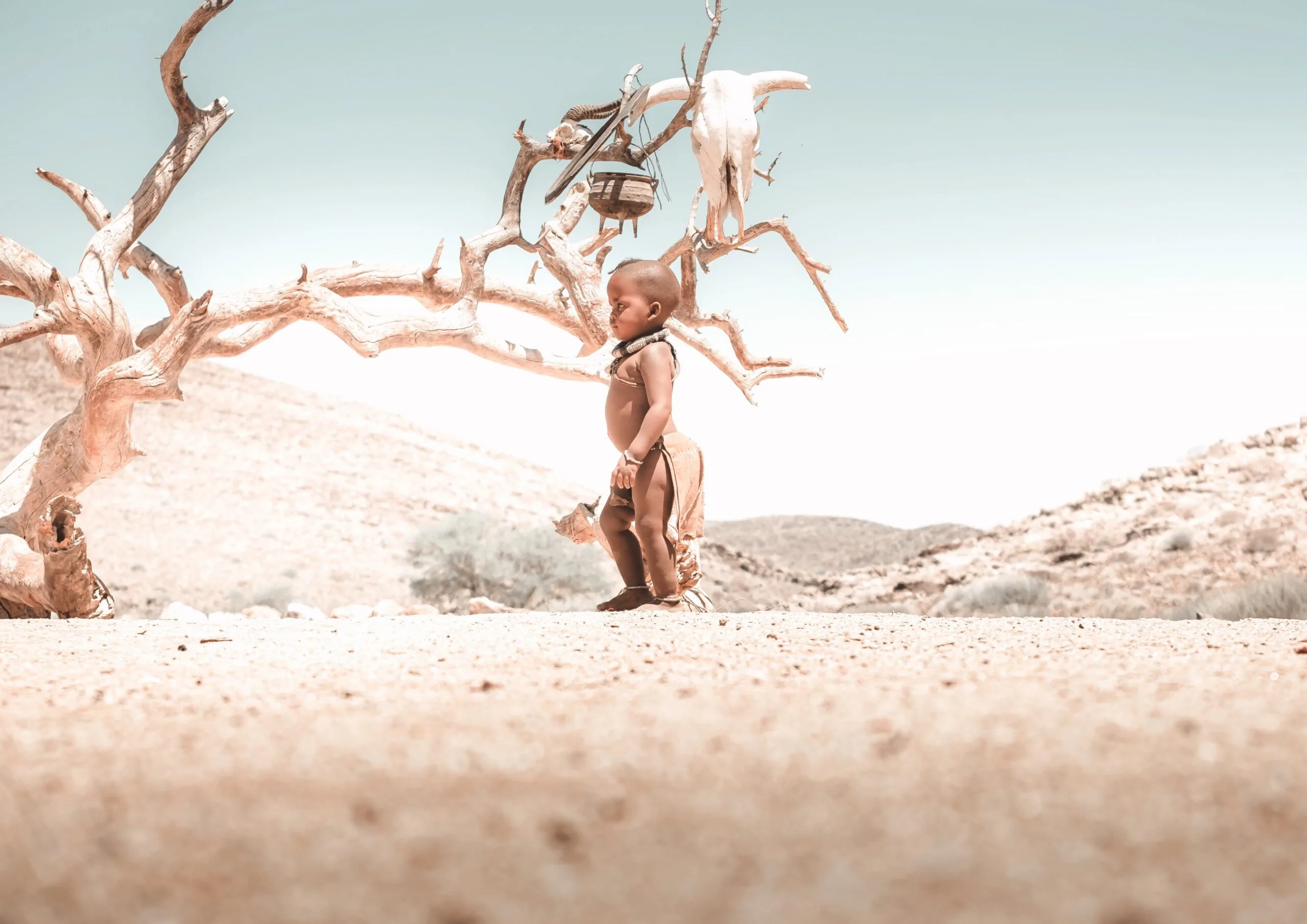 Namibia safari