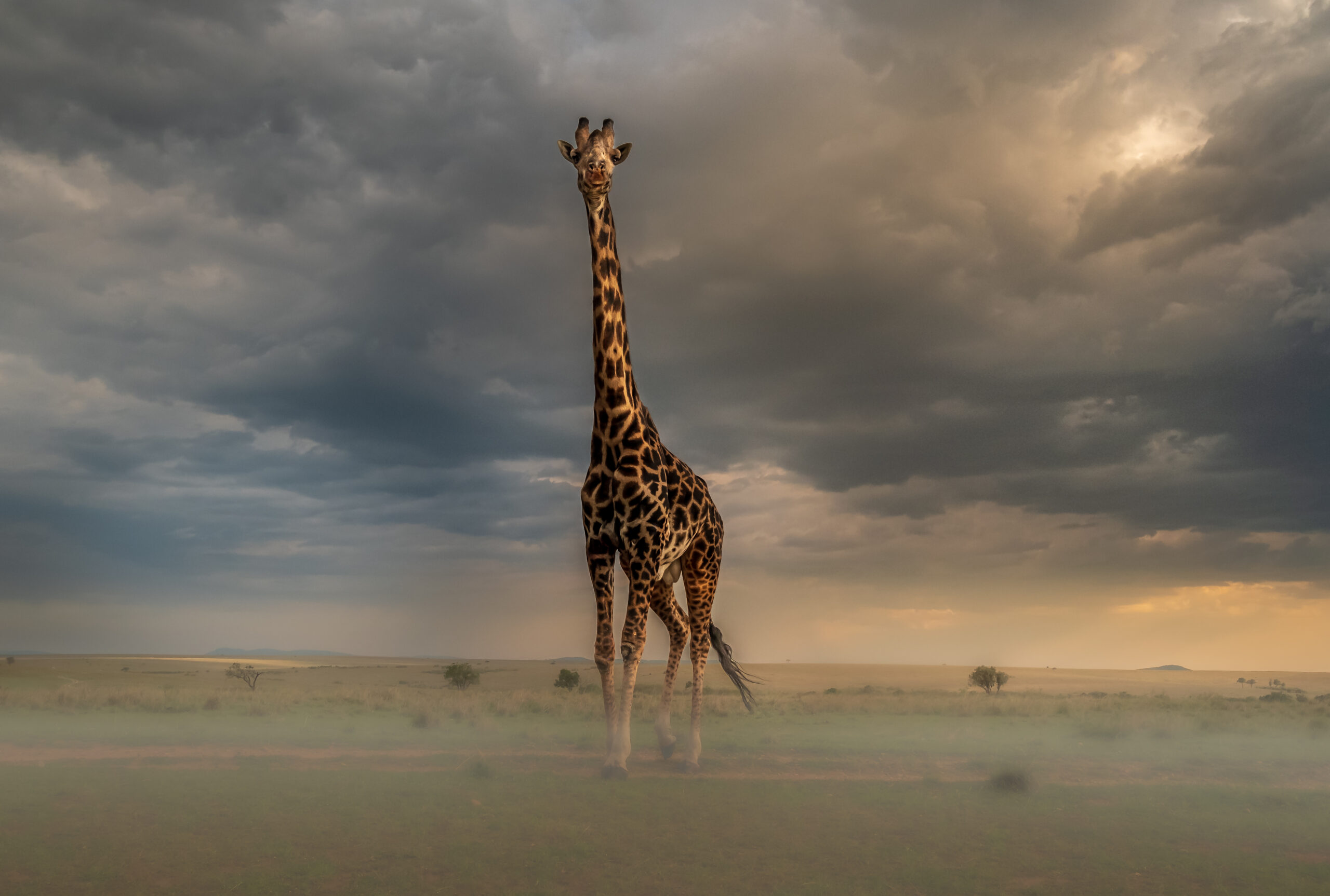 Desert Whisper Lodge – Namibia’s Luxury Escape in the Namib Desert Image 2