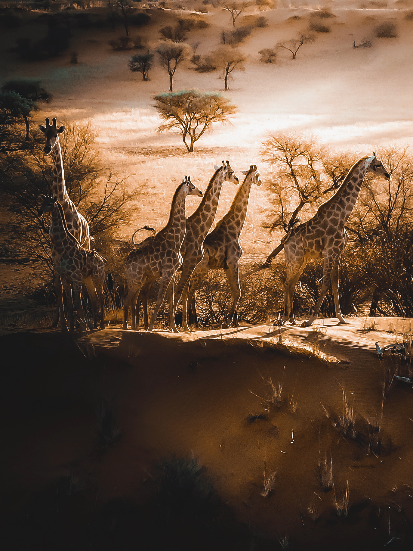 Skeleton Coast Namibia – Self-Drive Safari Guide Image 3