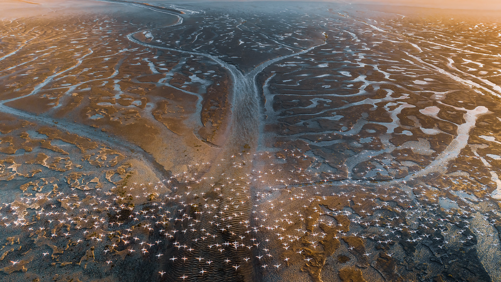 Sossusvlei Desert Lodge – Namibia Luxury Escape Image 2