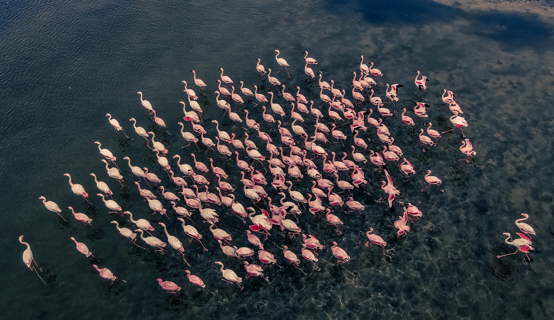 Sossusvlei Desert Lodge – Namibia Luxury Escape Image 3